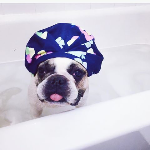 SHHHOWERCAP The Shower Cap Reinvented Modern Fashion and Function